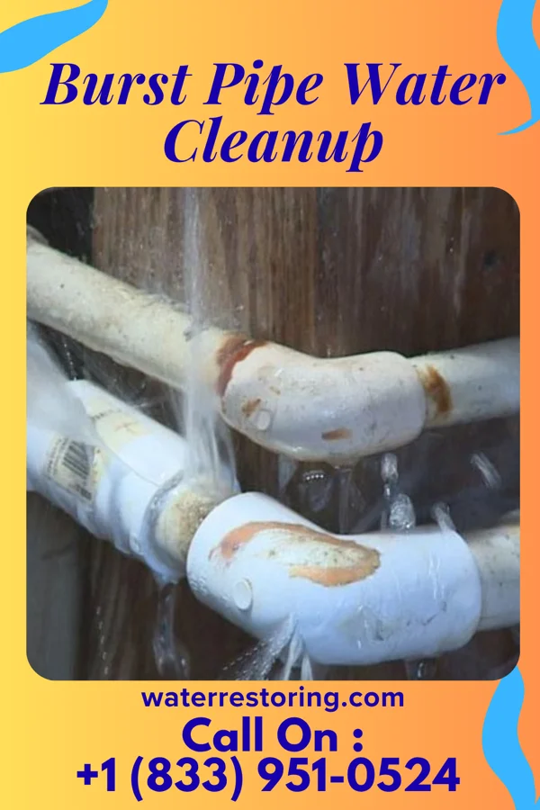 Burst Pipe Water Cleanup in Navarre, KS