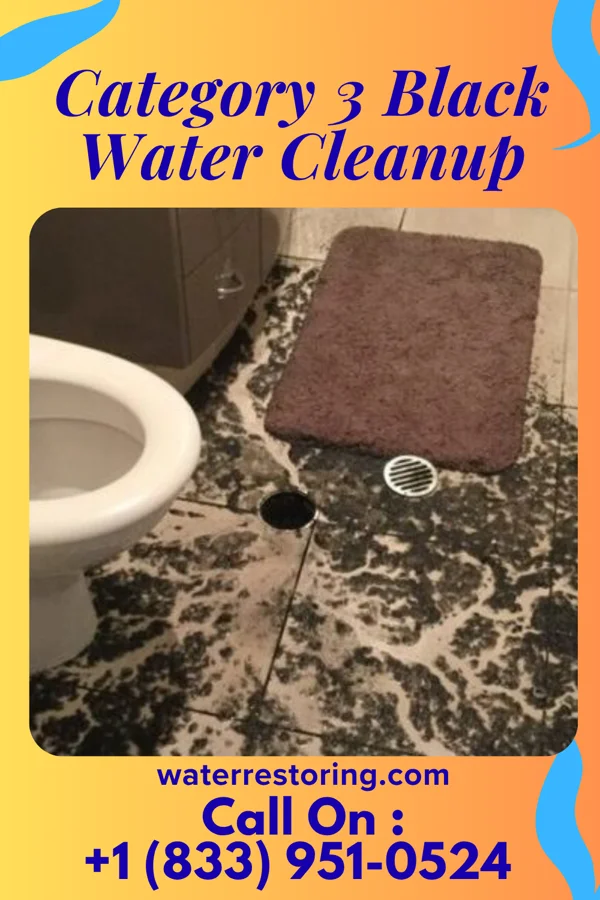Category 3 Black Water Cleanup in Navarre, KS