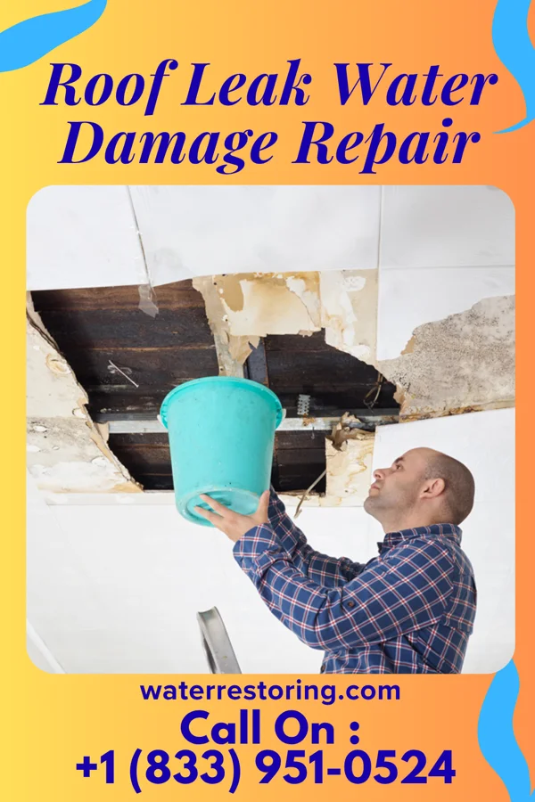 Roof Leak Water Damage Repair in Navarre, KS