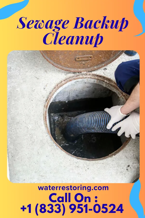 Sewage Backup Cleanup in Navarre, KS