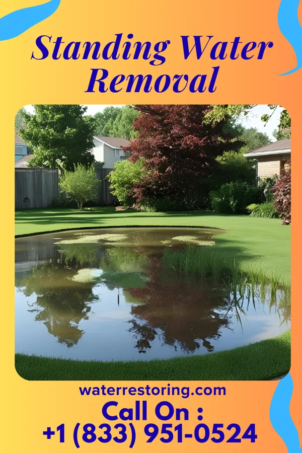 Standing Water Removal in Navarre, KS